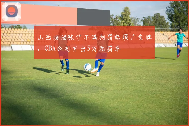 山西汾酒张宁不满判罚怒踢广告牌，CBA公司开出5万元罚单